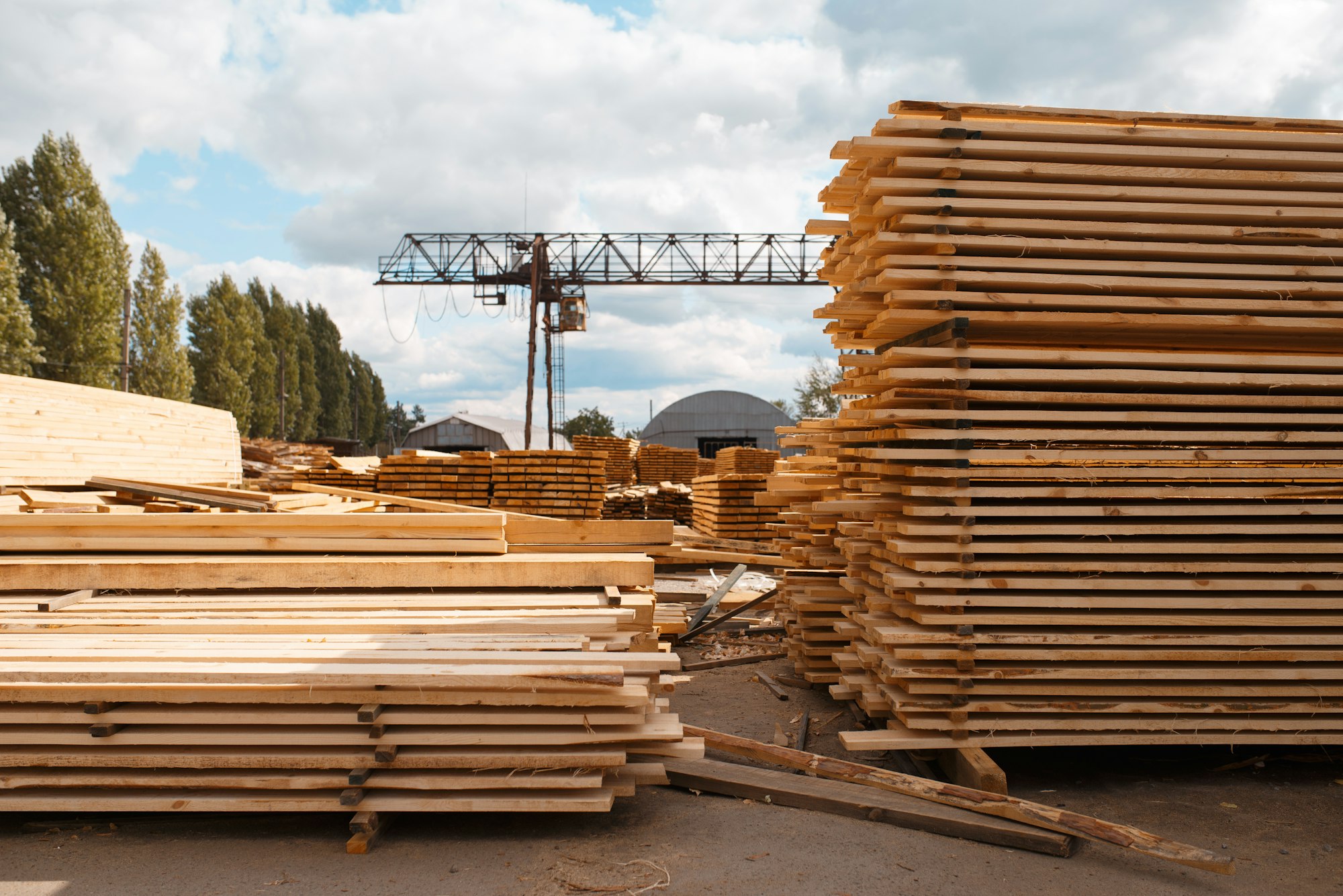 Timber Installation Services